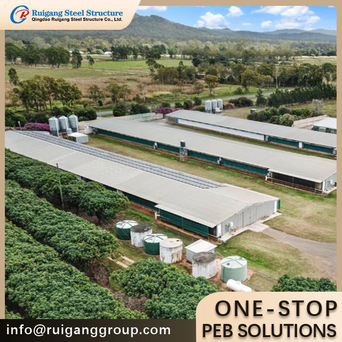 Prefab Chicken Houses For Layers